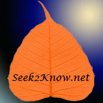 Seek2know.net Bodhileaf Logo